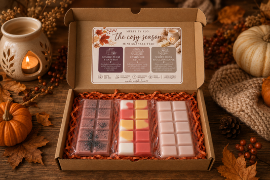 3 Autumn Scents • 3 Mini Snap Bars • One Cosy Bundle 🍂🤎